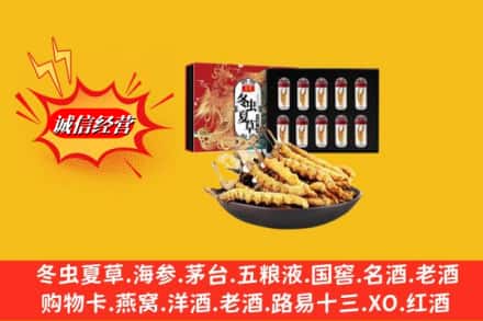 自贡市贡井回收冬虫夏草